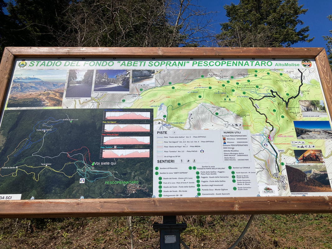 A picture of a wooden placard, a map of the area of forest around Pescopennataro